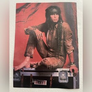 Aerosmith Steven Tyler Pinup - Red Background